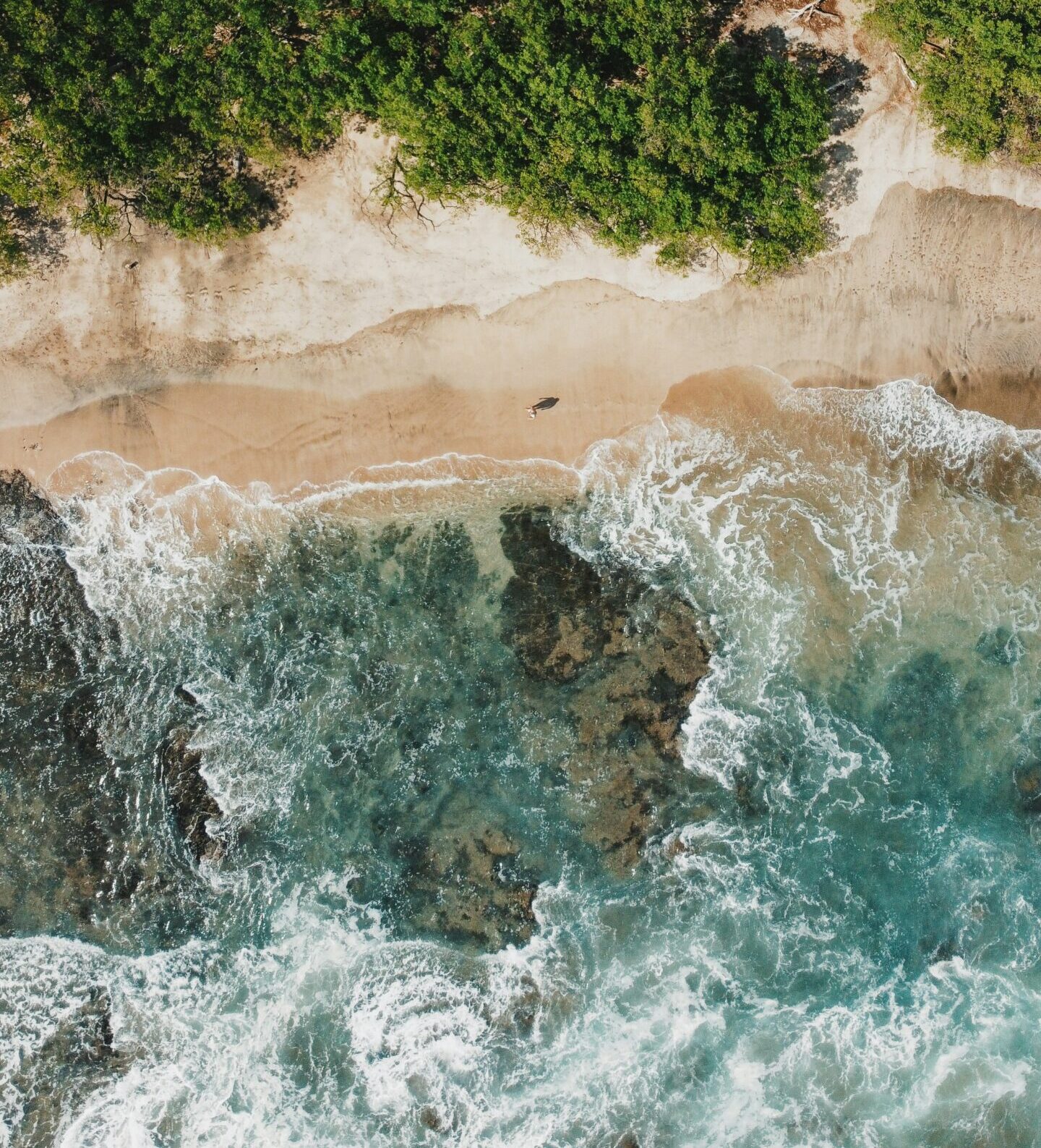 Bird's eye view of the beach, with lush vegetation
