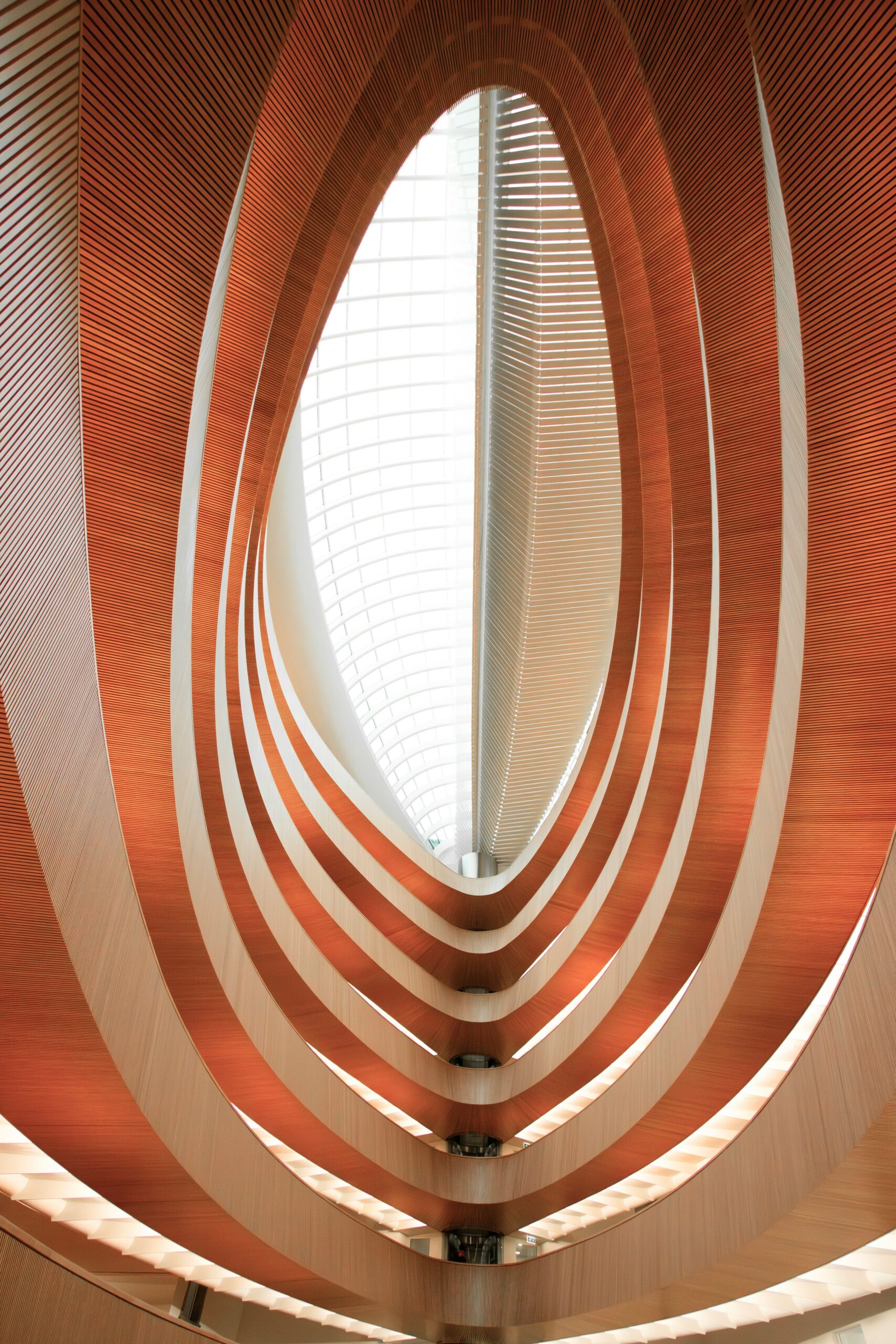 daniel-carmona-015TgpJ1BoI-unsplash